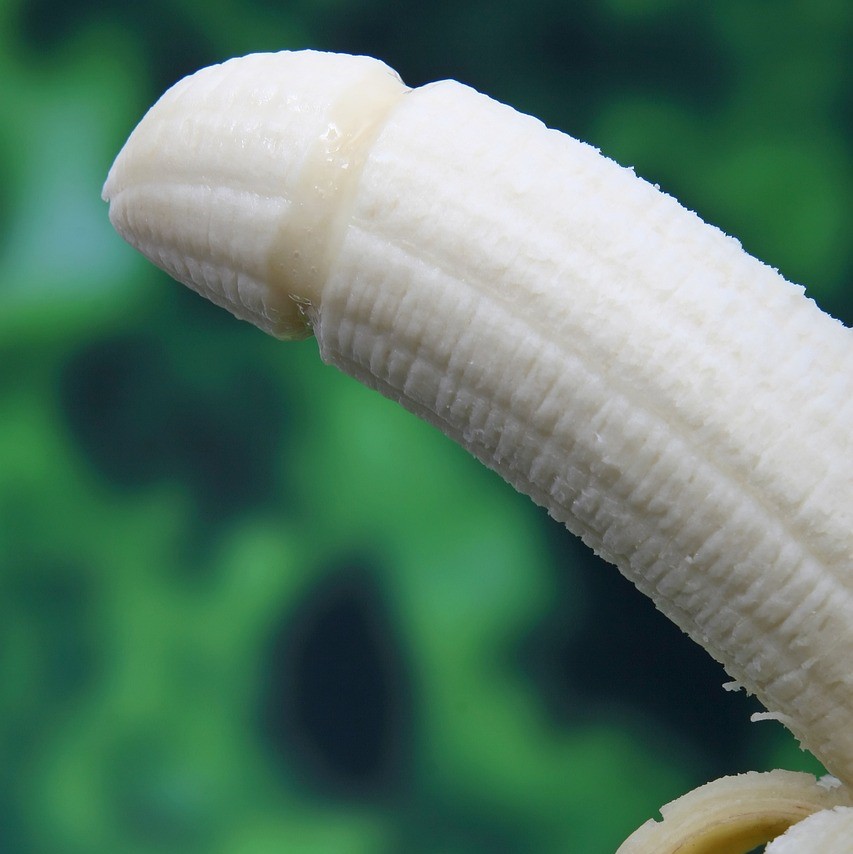 penis piemel dick penis piemel dick